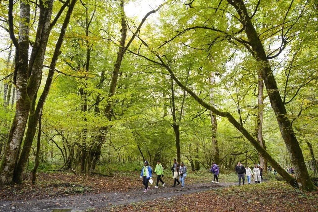 uWkS-3qQJBrJlUuMPw180fOdbJcyz0Yg73OQkJueMeycrPvRd75qrOGzMWkf4KfSDfQDajIaQYZeWcI8dukiLBO0.jpg uWkS-3qQJBrJlUuMPw180fOdbJcyz0Yg73OQkJueMeycrPvRd75qrOGzMWkf4KfSDfQDajIaQYZeWcI8dukiLBO0.jpg