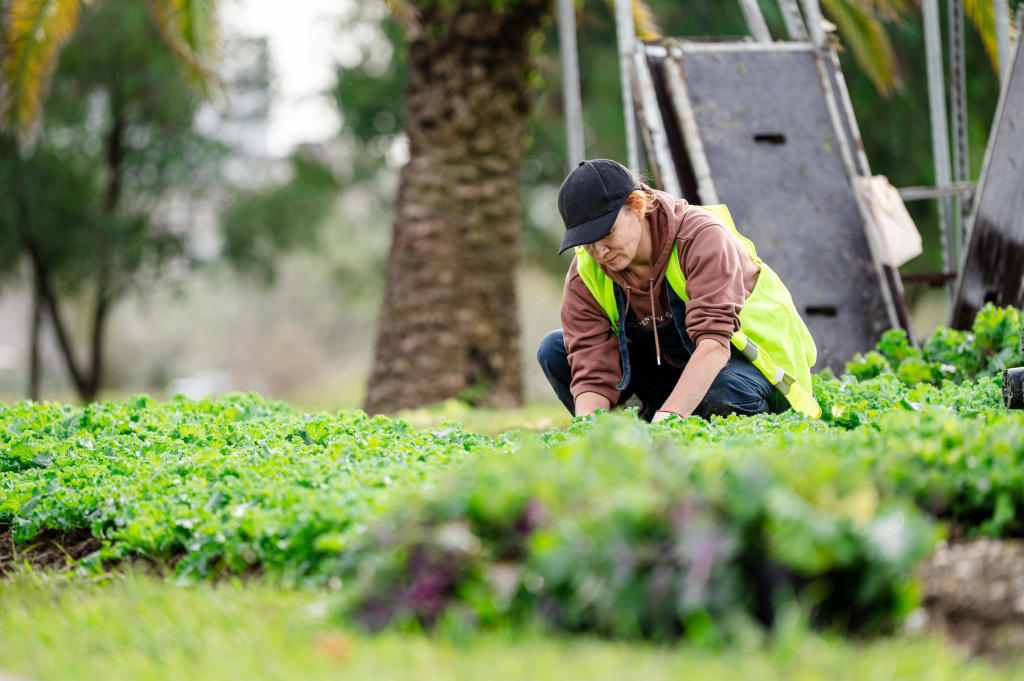 SIRIUS-476758.jpeg SIRIUS-476758.jpeg